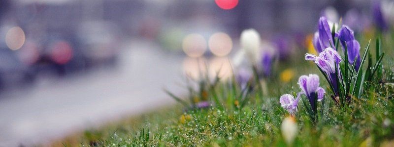 Погода на 13 апреля: в Днепре будет ясно