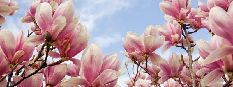 28 мая: какой сегодня праздник