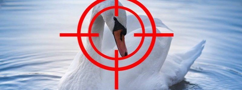 Областной совет принял решение о запрете охоты в заповедниках