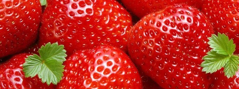 Новый рекорд Украины в Днепре: самое большое панно из свежей клубники