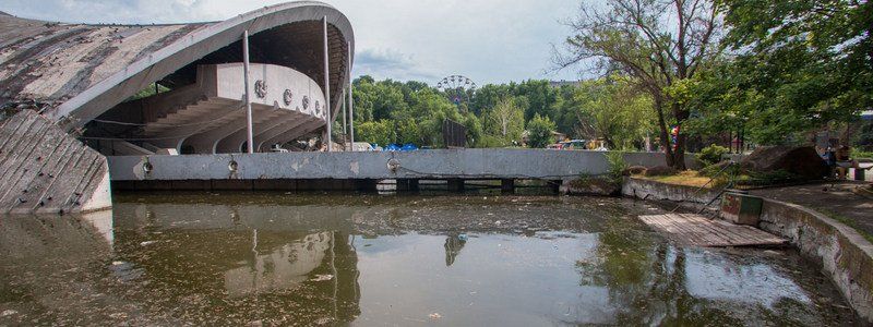 Озеро в парке Глобы превратилось в лужу с мертвыми птицами и мусором