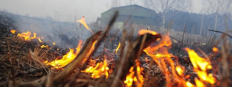 В Днепре объявили штормовое предупреждение: какая будет погода в ближайшие дни