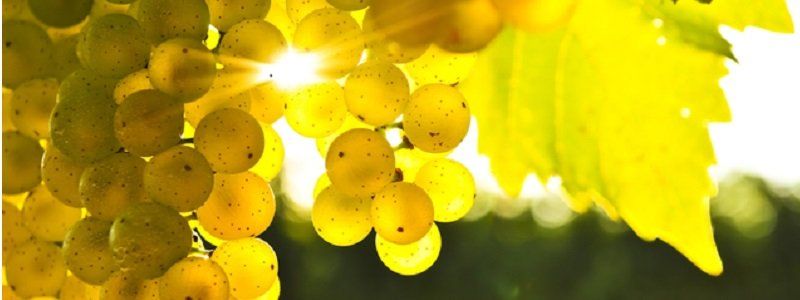 Погода на 8 июля: в Днепре будет ясно