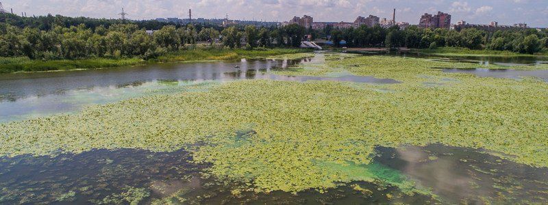 В Днепре пляж на Красном Камне превратился в болото