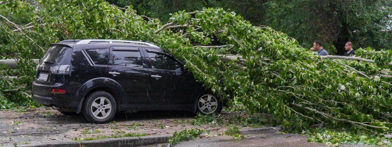 На Байкальской тополь раздавил Mitsubishi