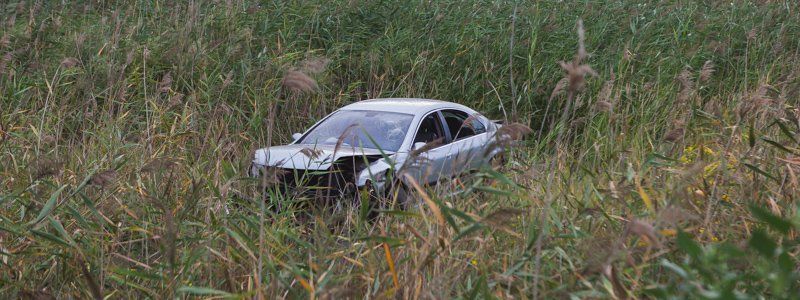 В Днепре Peugeot не справился с управлением и «вылетел» в камыши