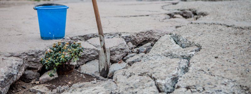 В Днепре цветы сажали в огромные ямы на дорогах