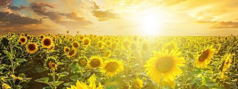 Погода на 9 августа: в Днепре будет ясно