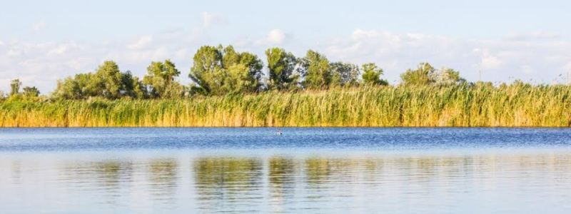 Три тысячи гектар первозданной природы: на Днепропетровщине создали новый ландшафтный комплекс