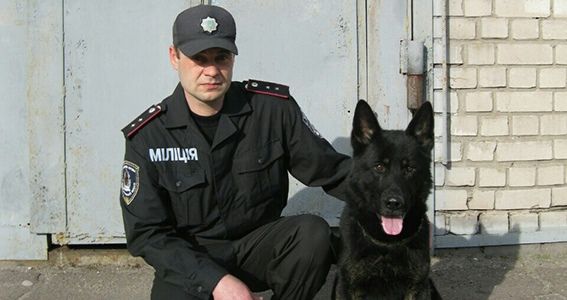 В Днепре и области служебные собаки помогают раскрыть убийства и кражи (ФОТО)