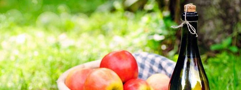 16 августа в Днепре: куда пойти сегодня