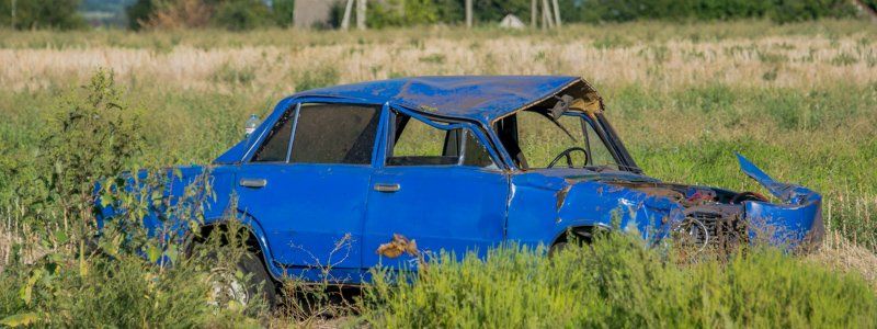 В Днепре на Криворожской трассе перевернулся ВАЗ с бультерьерами в салоне