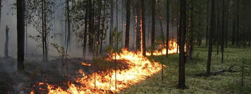 В Днепре объявили штормовое предупреждение: какая будет погода в ближайшие дни