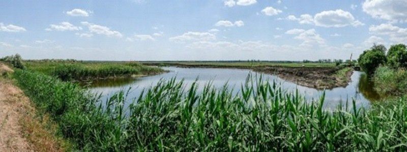 Какая погода ожидает жителей Днепра в сентябре