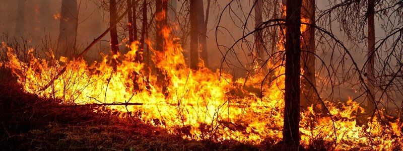 В Днепре объявили штормовое предупреждение: какая будет погода в ближайшие дни