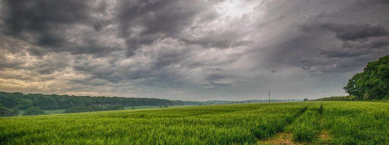 Погода на 3 сентября: в Днепре будет пасмурно