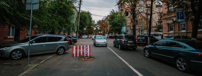 Улицу Староказацкую в Днепре "ест асфальтная моль"