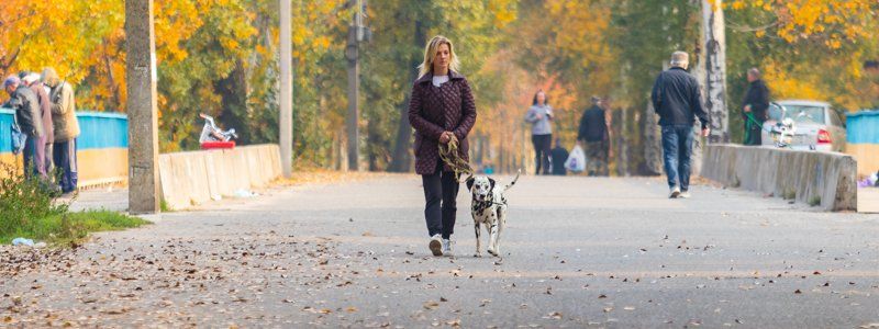 Настроение - осень: прогулка по спокойным и теплым аллеям Днепра