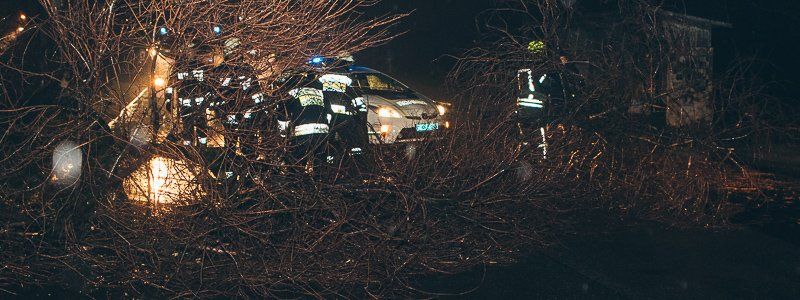 В Днепре на улице Днепросталевской на дорогу упало дерево