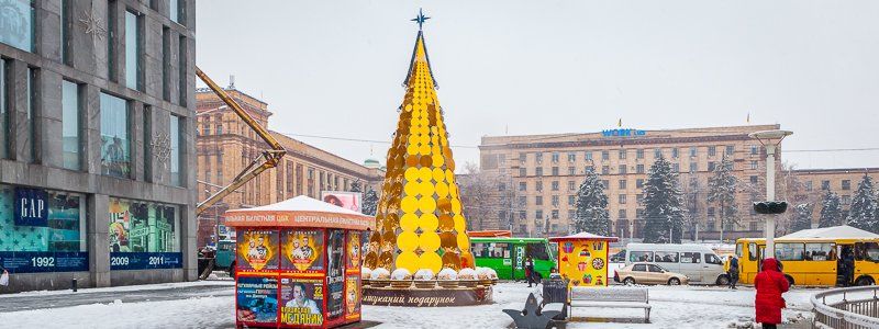 В центре Днепра "выросла" еще одна елка