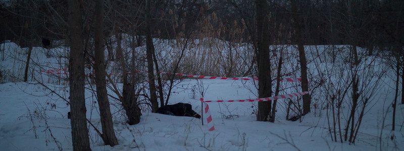 В Днепре нашли труп мужчины, который жил в лесу