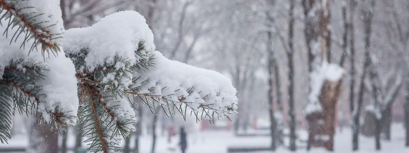 Погода на 24 января: в Днепре будет дождь и снег