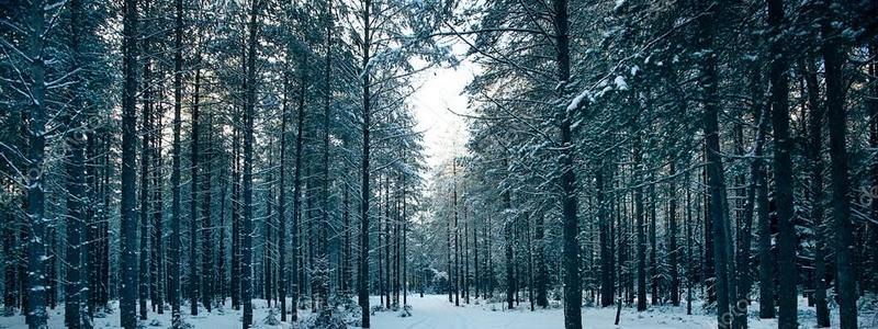 Погода на 10 февраля: в Днепре будет облачно