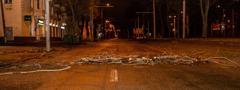 На проспекте Пушкина упавшая ветка перегородила дорогу