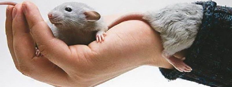 4 апреля: какой сегодня праздник