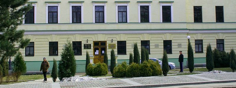 Смерть от равнодушия: сын привез в больницу Мечникова истощенную мать, впавшую в кому