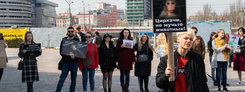 В Днепре зоозащитники митинговали под цирком перед шоу с животными