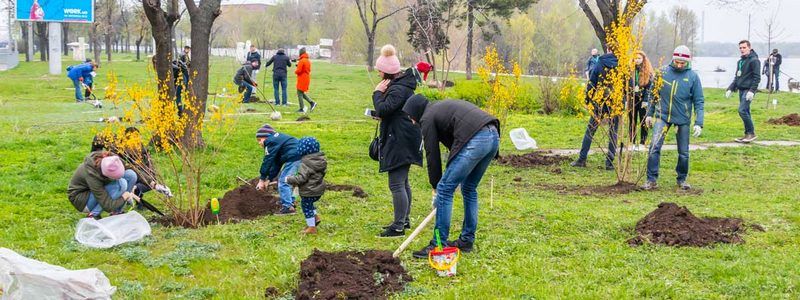 В Днепре набережную хотят превратить в цветущий парк