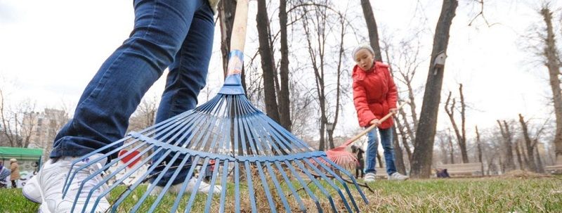 В Днепре пройдет общегородской субботник «Чисто Днепр»: как принять участие