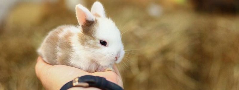 29 апреля в Днепре: куда пойти сегодня