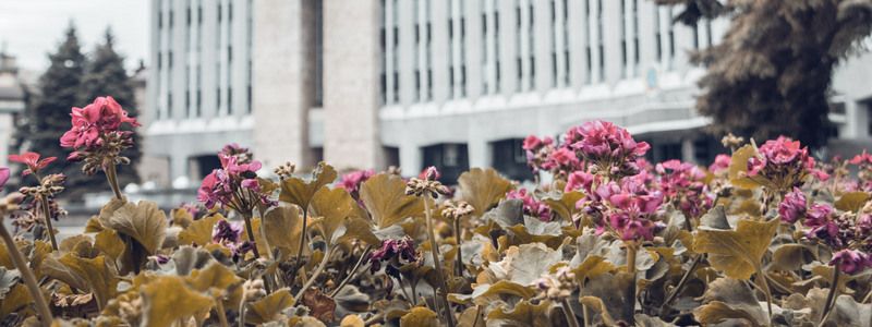 Погода на 30 апреля: в Днепре будет пасмурно