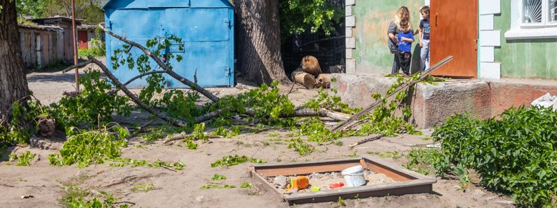 В Днепре огромная ветка упала возле подъезда: там часто играют дети