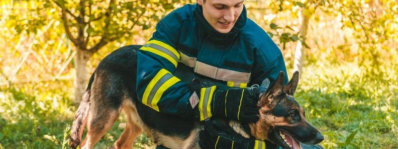 В Днепре щенок застрял под киоском