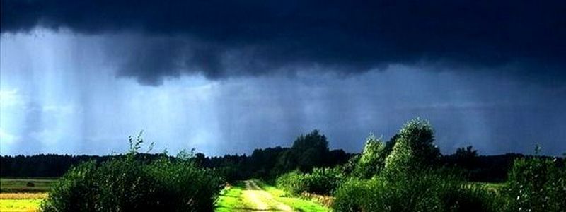 Погода на 5 июня: в Днепре будет дождь с грозой