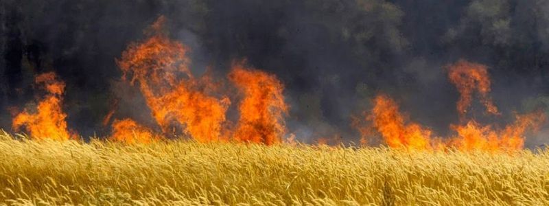 В Днепре и области на 7 дней объявили наивысший уровень пожарной опасности