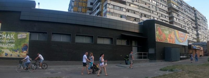 В Днепре на бульваре Славы на ступеньках супермаркета нашли змею
