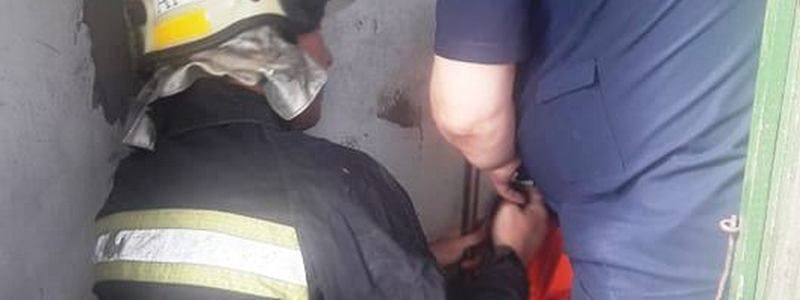 В Днепре собака упала в выгребную яму и скулила о помощи
