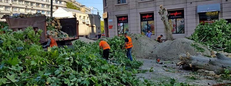 На улице Короленко в Днепре все-таки срубили деревья