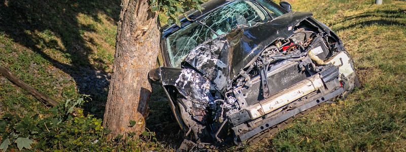 В Днепре Subaru слетел в кювет и врезался в дерево