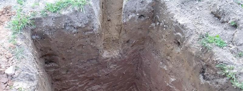 Минздрав Украины предлагает запретить выгребные ямы и "омоложение" деревьев