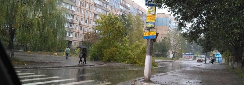 В Днепре из-за непогоды падают деревья