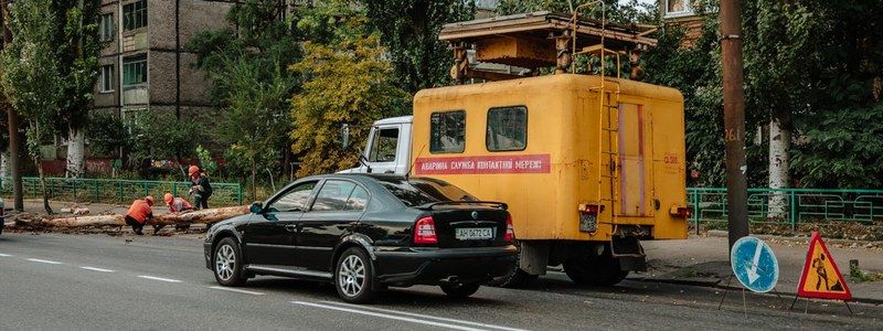 В Днепре на Мануйловском проспекте дерево рухнуло на дорогу, повалив провода