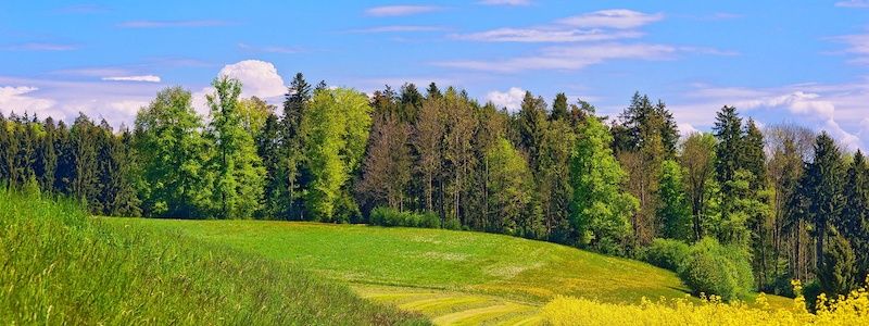 Обзор погоды в Днепре за прошлую неделю и прогноз на следующую