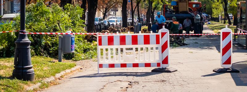 В Днепре на Яворницкого пилят деревья