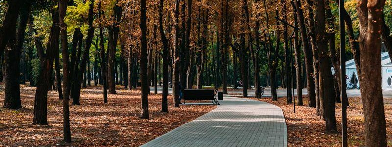 В Днепре вандалы испортили урны в парке Гагарина