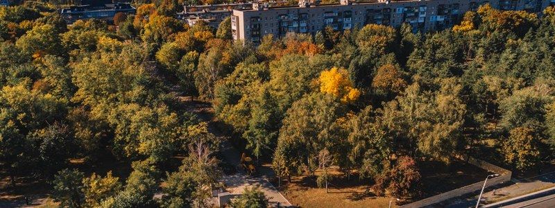 В Днепре начали реконструкцию парка Писаржевского